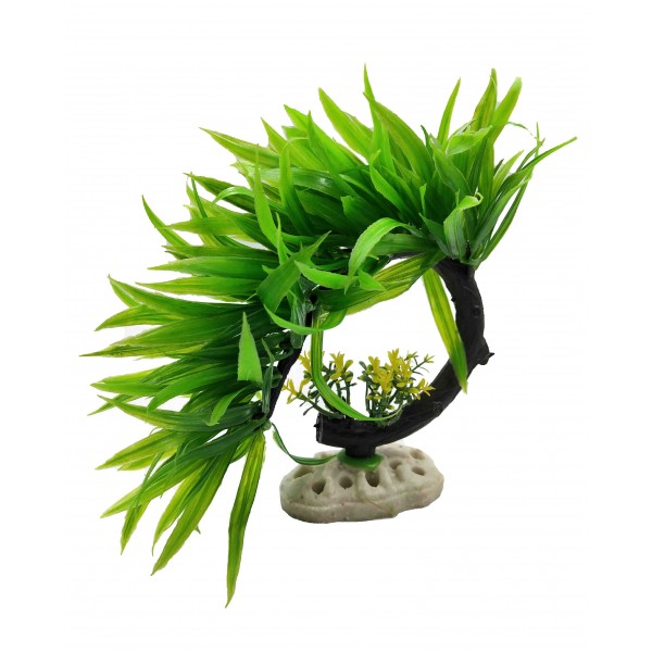 ΔΙΑΚΟΣΜΗΤΙΚΟ ΦΥΤΟ ΕΝΥΔΡΕΙΟΥ